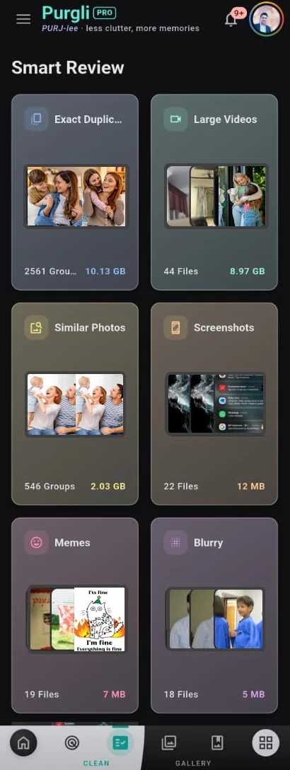 Purgli Smart Review showing scan result categories